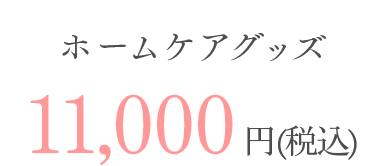 ホームケアグッズ10,000円（税別）